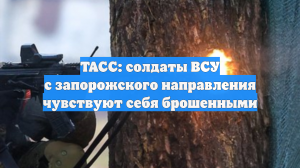ТАСС: солдаты ВСУ с запорожского направления чувствуют себя брошенными