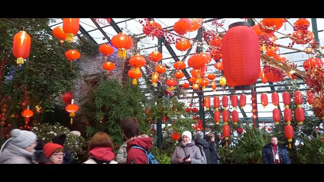 Москва 09.02.2026 Аптекарский огород Китайский Н Г смотреть онлайн