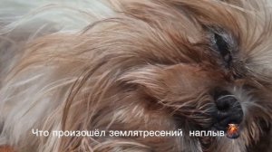 Землятресение🌋🤣