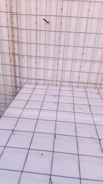 SCIP: сборка дома из панелей. Продолжение смотреть онлайн