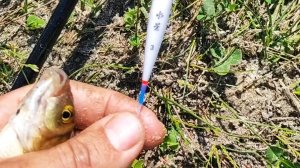 Рыбалка после дождей и гроз на карьере.