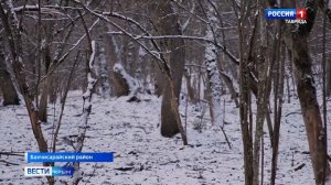 ВЕСТИ КРЫМ: выпуск 09.02.2026 21:10