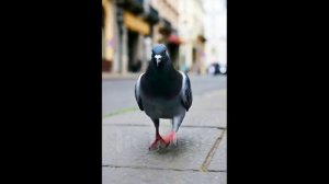 Ещё две минуточки