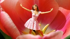 ИСТОРИЯ ДЮЙМОВОЧКИ (Ремейк песни "Мурка" по мотивам сказки Шарля Перро)