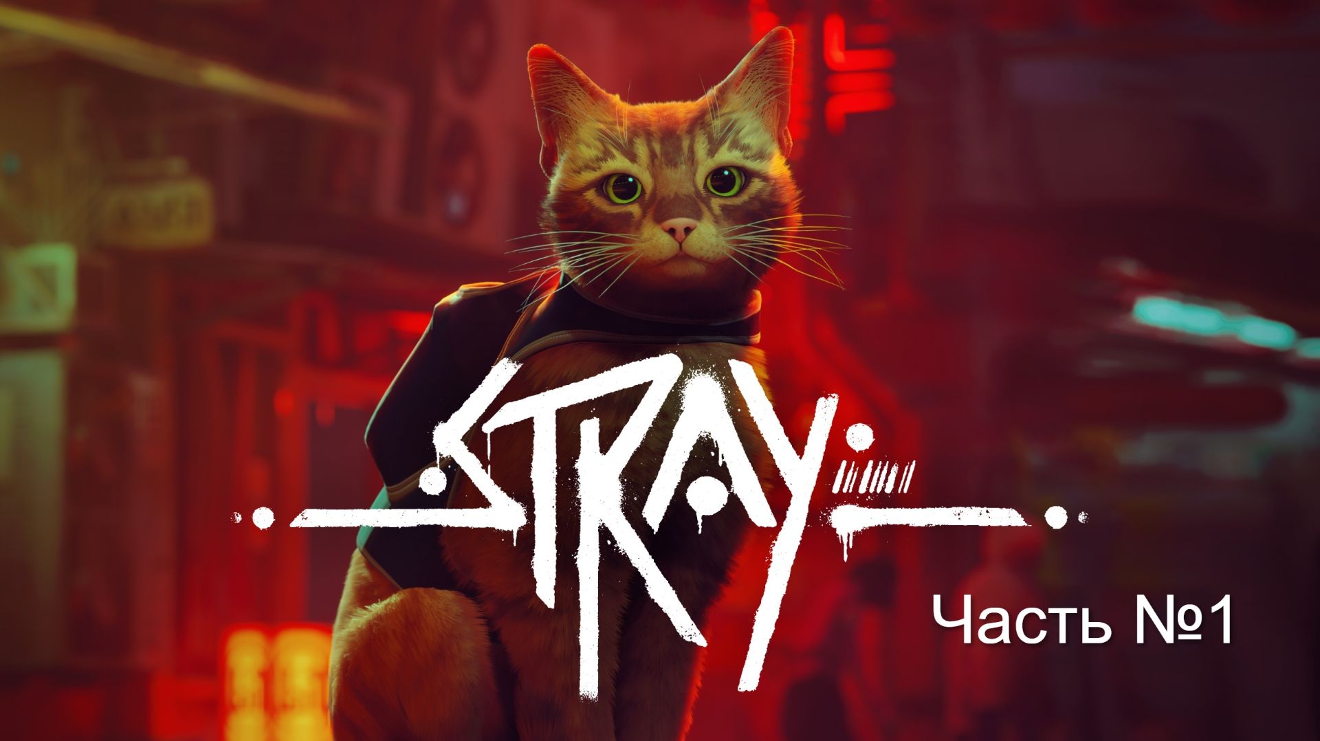 Прохождение игры STRAY на русском.  Часть  1. Без своих комментариев.
