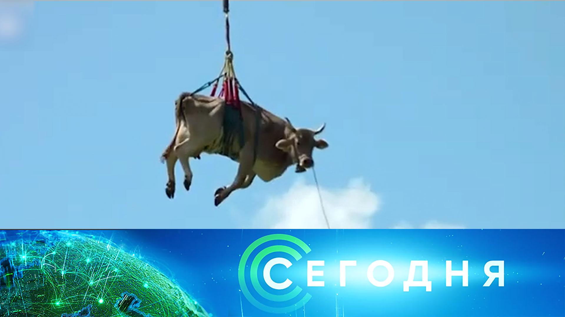 «Сегодня»: 9 февраля 2026 года. 16:00 | Выпуск новостей | Новости НТВ смотреть онлайн