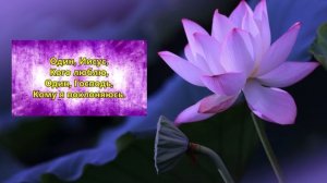 Дай мне увидеть величие Твоё