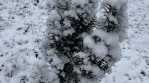 Свежие новости о погоде | Постовые ящики ломились | #краснодар#мирувлечений