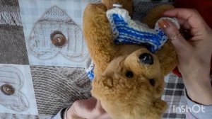 ИТОГИ ТРИОСТПРТОВ ФЕВРАЛЯ-2026... две готовые работы.👏👏👏