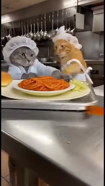 Насвинячил