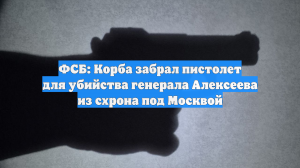 ФСБ: Корба забрал пистолет для убийства генерала Алексеева из схрона под Москвой