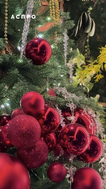 Зарядились на максимум! Корпоратив Аспро