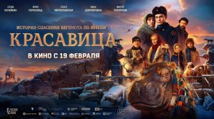 Красавица 12+