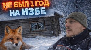 Не был год в избе. Старая изба после паводка. Нашел след лисы