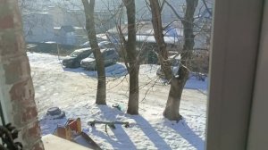 Готовлю обед и болтаю. 8.02.2026.