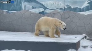 Быстрые новости 09 02 26