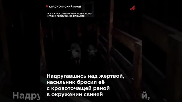 Изнасиловал и бросил на растерзание свиньям: жуткие подробности убийства 17-летней школьницы смотреть онлайн