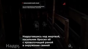 Изнасиловал и бросил на растерзание свиньям: жуткие подробности убийства 17-летней школьницы