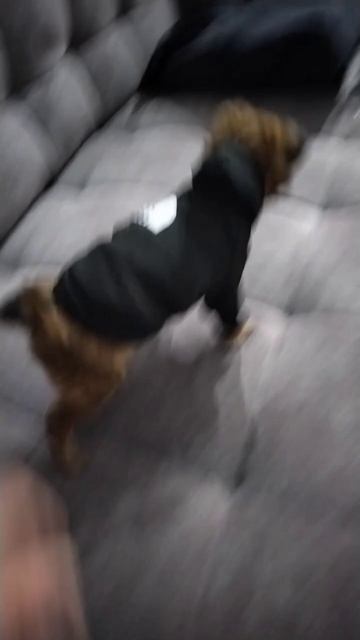 1000111047.mp4 смотреть онлайн