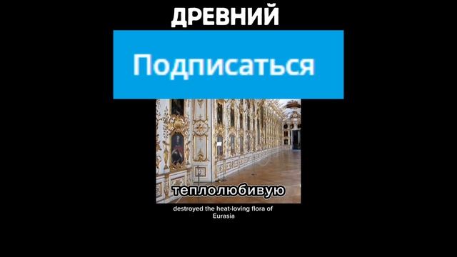 Древний паркет смотреть онлайн