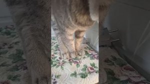 Моя подружка спит😴😂