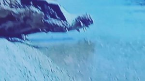 Живая вода. релакс.