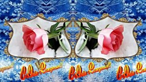 С Днём Рождения! Зимняя Сказка из Роз 9 от Киностудии Мудрого Кота Тимофея!!!