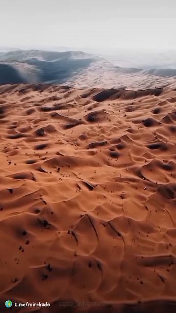 MOV_20260209_231357_537.mp4