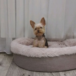 играем в прятки