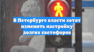 В Петербурге власти хотят изменить настройку долгих светофоров