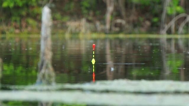 РЫБАЛКА НА ПОПЛАВОК НА МАХОВУЮ УДОЧКУ! Отвел душу после рабочего дня! Рыбалка из детства! смотреть онлайн