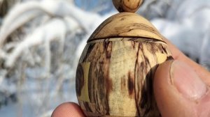 Шкатулка в зимнем парке на заснеженной иве