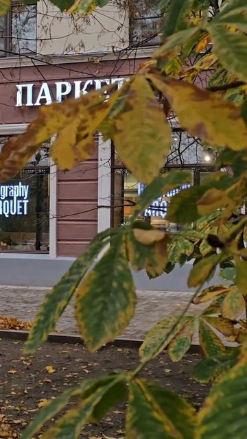 Паркет из натурального дерева #geoparquet #географияпаркета #паркет #дерево #красота #роскошь #уют Паркет из натурального дерева #geoparquet #географияпаркета #паркет #дерево #красота #роскошь #уют