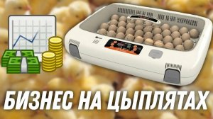 Самый прибыльный  бизнес. Открываю сезон.