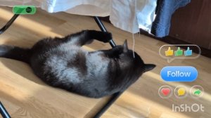 ПОЙМАЛ РЕДКУЮ ДОБЫЧУ ПЕРЫШКО