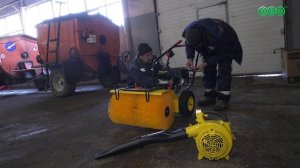 Служба по благоустройству Кировского района уже более 20 лет ухаживает за лебедями