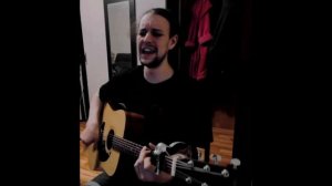 Жуки - Батарейка / Кавер (by Djinnoti)