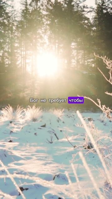 ЧТО БОГ ТРЕБУЕТ? смотреть онлайн