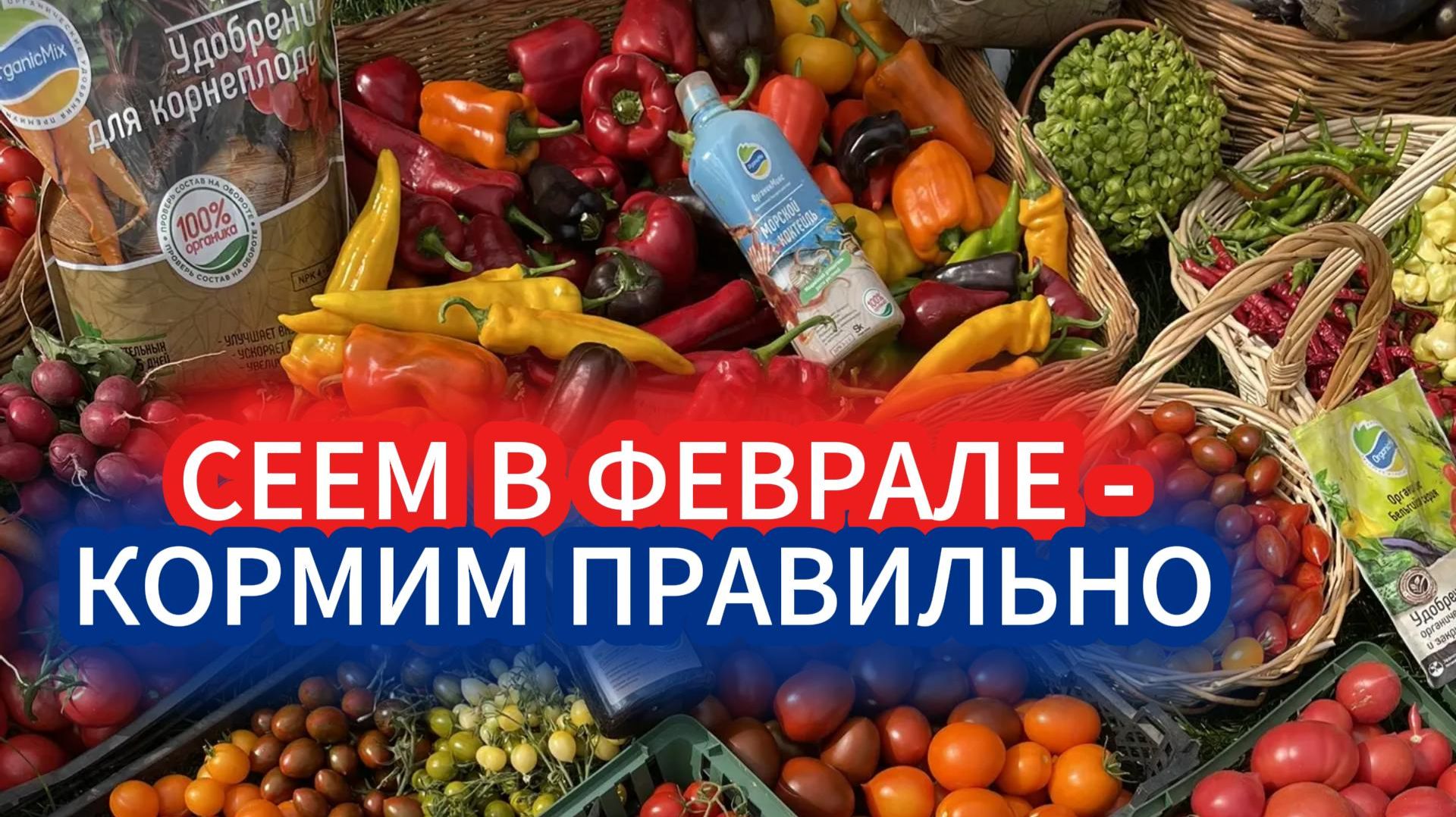 Что посадить в феврале: гид по раннему посеву и умным удобрениям. смотреть онлайн