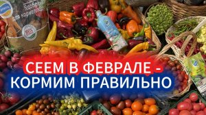 Что посадить в феврале: гид по раннему посеву и умным удобрениям.