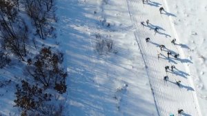 Более 3 тысяч человек приняли участие в акции «Лыжня России»