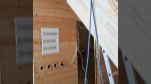 1000048144.mp4 (Собака наблюдает за устройством лестницы на 2 этаж в доме А-фрейм)