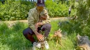 Посмотрите КАК Люся ПРОСЫПАЕТСЯ, как человеческий ребенок, такая милая)))