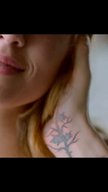 Там, где цветёт полынь  2023