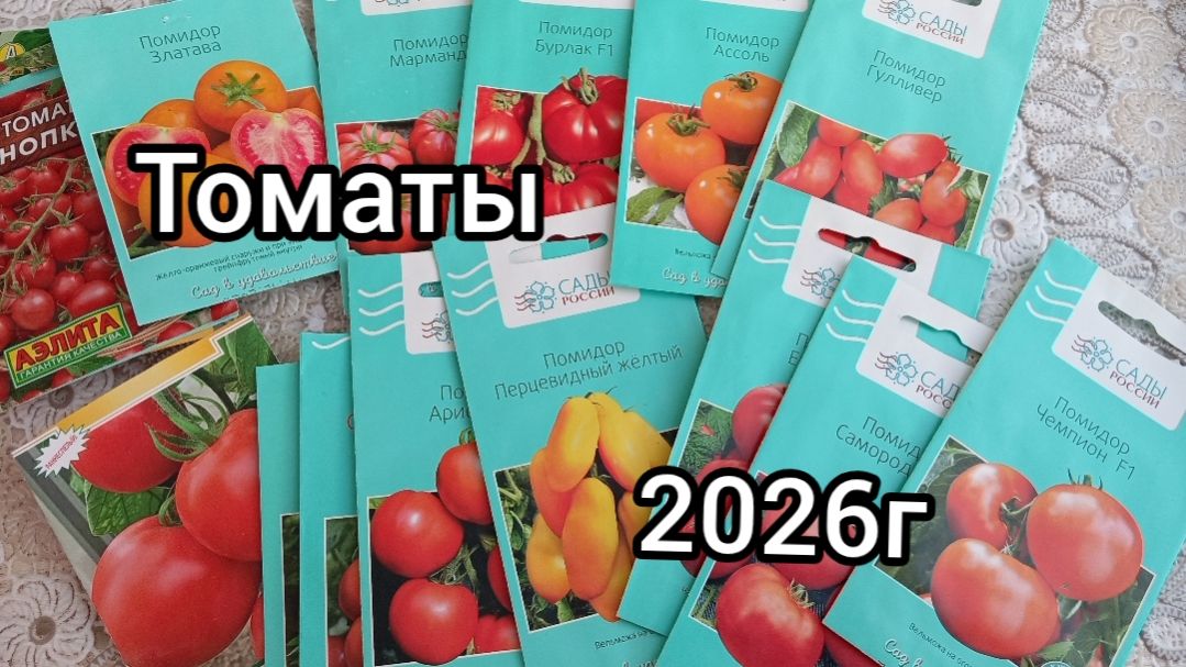 МОЙ ВЫБОР ТОМАТОВ🍅на 2026г смотреть онлайн