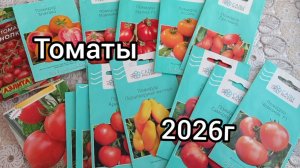 МОЙ ВЫБОР ТОМАТОВ🍅на 2026г