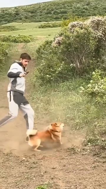 Атака сурка!