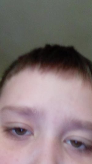 Богдан и Егор и вы