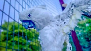 Мы возвращаемся с малышами домой, а наши танцы с Жориком начинаются ПОСЛЕ ЗАКАТА!