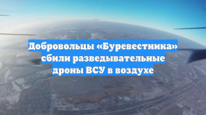 Добровольцы «Буревестника» сбили разведывательные дроны ВСУ в воздухе